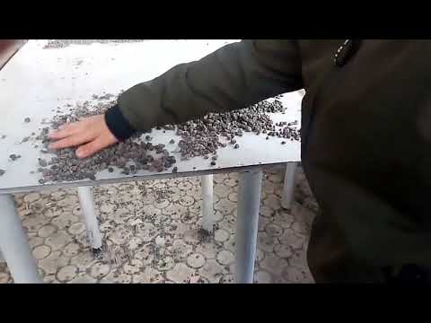 Bocer drsum LYOV AGAVELYAN