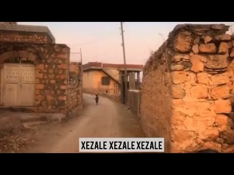 XEZALE SONG A SHORT CLIP NICE SONG CHANGE LANGUAGE #opsong