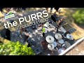 The Purrs - “Cracked Head” (Live at Porchfest 7/20/2024)