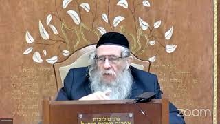 הרה"ג הרב וועכטר שליט"א י"ב טבת תשפ"ד - ליקוטי שיחות חלק ט"ו שיחה עשרה בטבת חלק ה (הרב אברהם מנחם מענדל וכטר) - התמונה מוצגת ישירות מתוך אתר האינטרנט יוטיוב. זכויות היוצרים בתמונה שייכות ליוצרה. קישור קרדיט למקור התוכן נמצא בתוך דף הסרטון