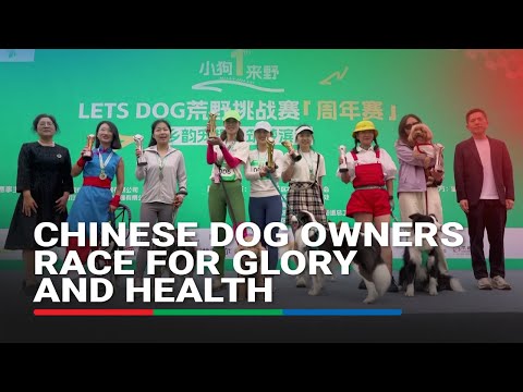 Chinese dog owners race for glory and health