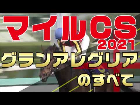 【グランアレグリアのすべて】マイルチャンピオンシップ2021に出走のグランアレグリアをデビューから前走まで振り返りました。競馬初心者の方にもより一層G1を楽しんでもらえるような解説を心がけております。