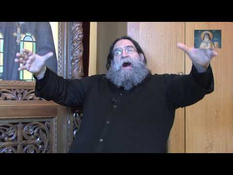 Δέκα δελφίνια φιλούσαν το χέρι του Αγ. Πορφυρίου