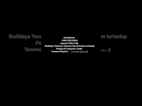 Video