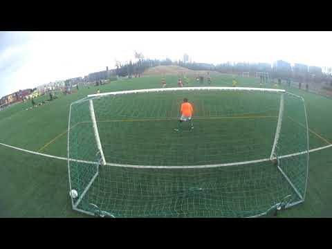 ILVES 08 TPV 08 3 5 2019 2half