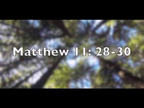 Daily Bible Verse - Matthew 11: 28-30 "Come Onto Me, All You Who Are Weary..."