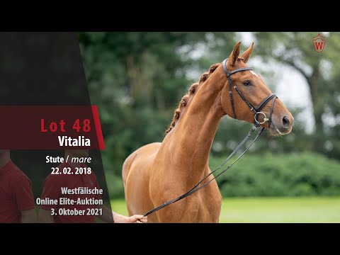 Online Elite-Auktion Lot 48 Vitalia Stute v. Vitalis - Fidermark