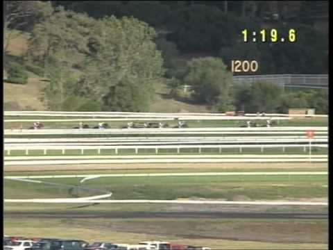 1998 AJC Derby - Gold Guru