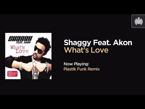 Shaggy Feat. Akon - What's Love (Plastik Funk Remix)