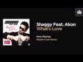 Shaggy Feat. Akon - What's Love (Plastik Funk ...