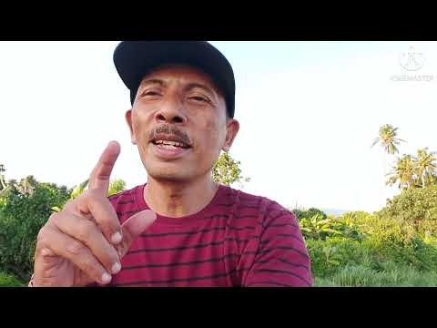 Gede Kembung-Gus Jody, cover by Ungsiada