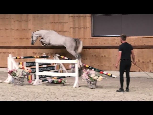 Jumping