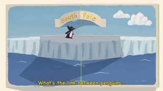 Penguins and Polar Bears