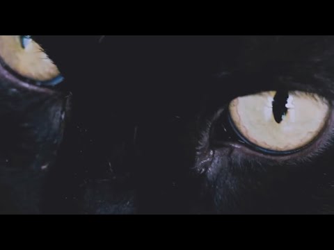 TENNAZ - Olhos de Gato ft Rookie Uno & Eric Rodrigues