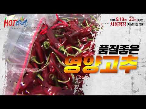 [영양군] 2023 영양고추 H.O.T Festival (핫페) / K-매운맛의 표본