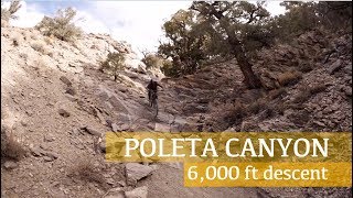 Riding down Poleta Canyon