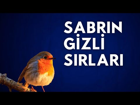 SABRIN GİZLİ SIRLARI - SABIR NE GÜZELMİŞ DİYECEKSİN - VOLKAN AKSOY
