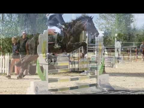 CSO P Élite Grand Prix 16/09/2018