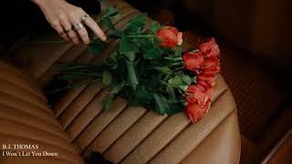 I Won't Let you Down