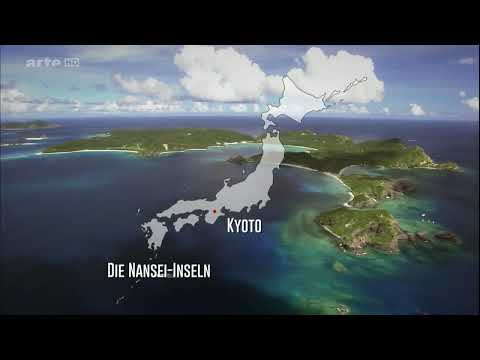 Dashi, so schmeckt Japan!