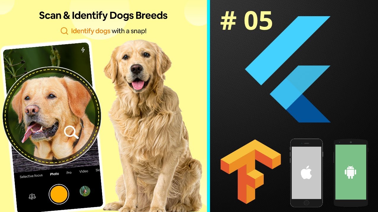 Dog Breed Identification using Deep Learning Flutter Tensorflow Lite Machine Learning Course 2022