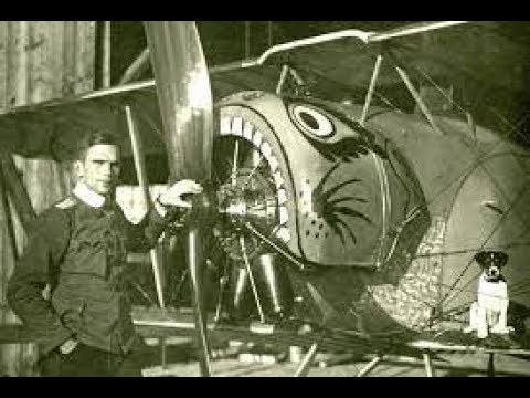 Special Hobby 1/32 Fokker D.II, Part 3 - Painting