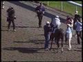 TVG McCarthy General Quarters In Kentucky Derby