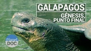 preview picture of video 'Galápagos. Génesis, Punto Final | Documental Completo - Planet Doc'