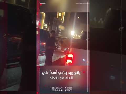 شاهد بالفيديو.. بائع ورد يلعب مع أسد بمنطقة المنصور في العاصمة بغداد