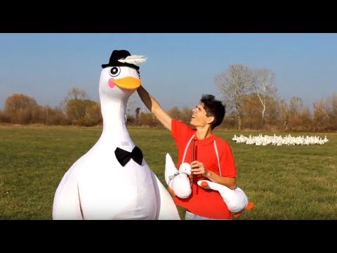 Tompeti és Barátai - Márton napi libaságok