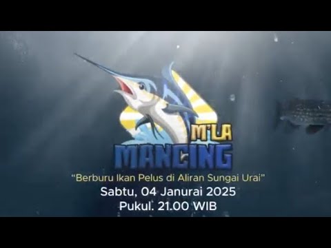 Mela Mancing_Berburu Ikan Pelus di Aliran Sungai Urai