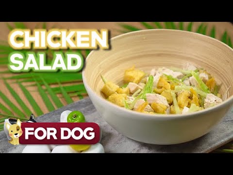 DOG FOOD RECIPE｜Chicken Salad｜Sub