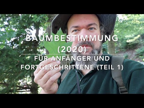 Tree Identification Course 2020 (Part 1)