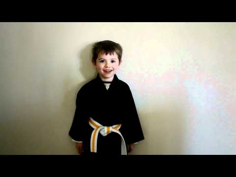 Nathanael's Knock Out Cancer Challenge.  Kiai!