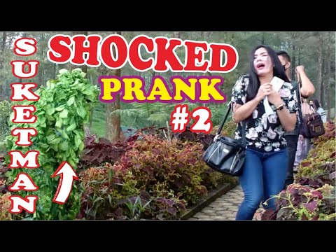 berkamuflase-dihutan-2-time-lapse-bushman-prank-prank-manusia-pohon