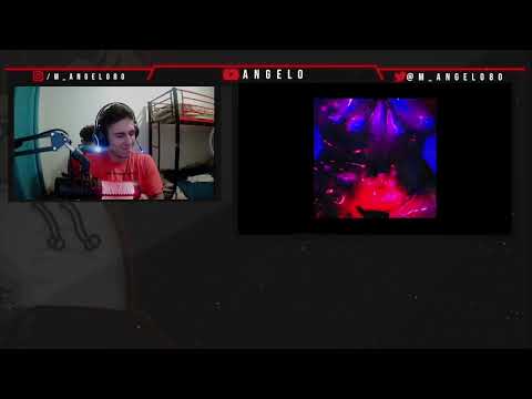 ANGELO REAGE AO HOLLY HOOD- VOLTA