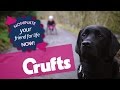 Eukanuba Friends For Life 2015 | CRUFTS 2015.
