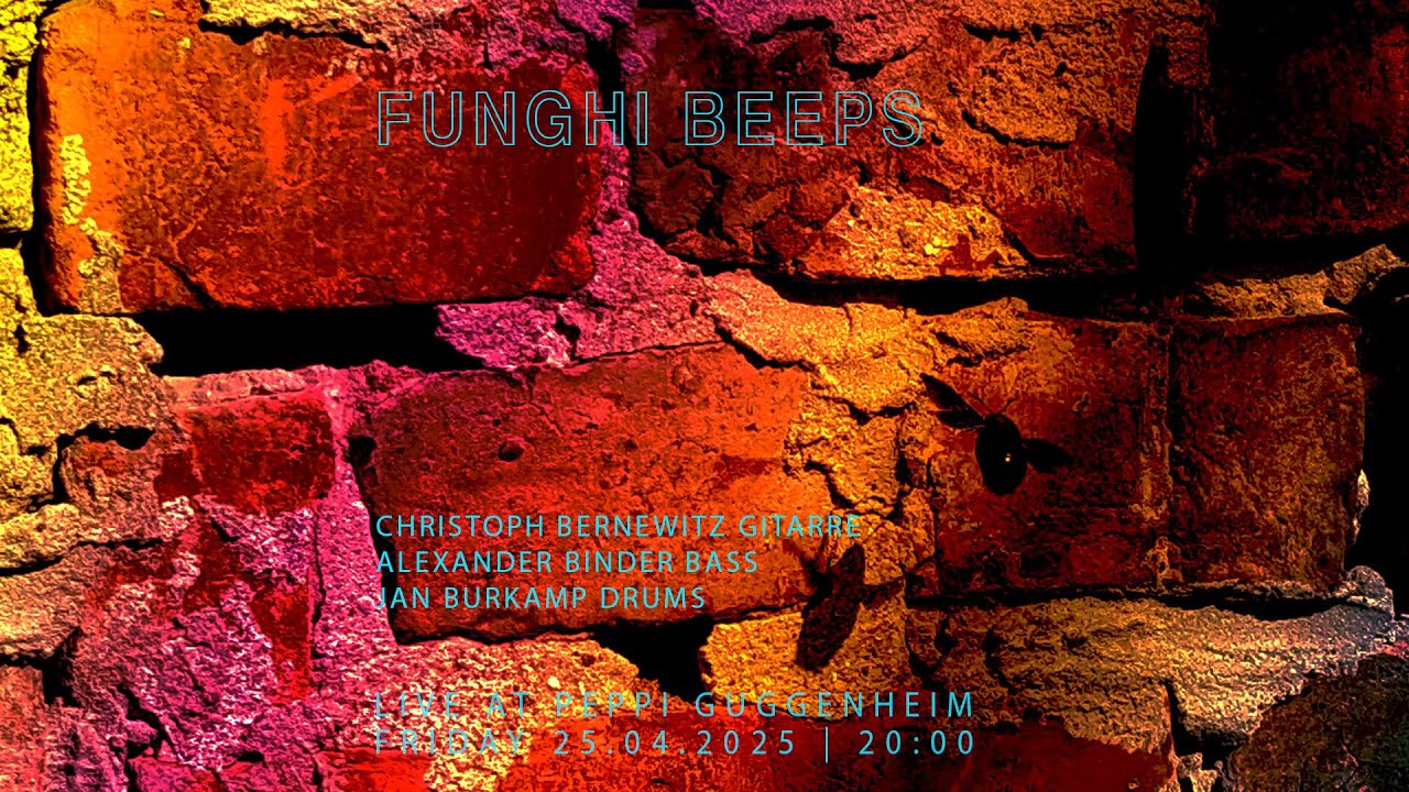 Peppi Guggenheim Berlin Live Concert: Funghi Beeps