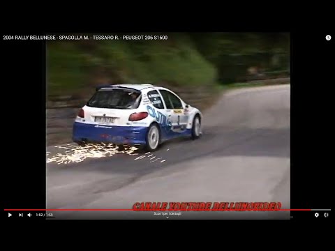 2004 RALLY BELLUNESE - SPAGOLLA M. - TESSARO R. - PEUGEOT 206 S1600
