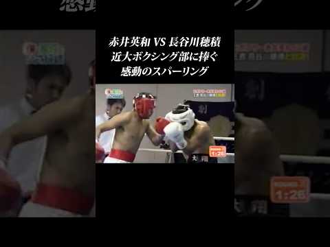 【赤井vs 長谷川②】感動のスパーリング対決 #shorts  #赤井英和 #長谷川穂積 #近畿大学