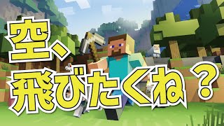 【マイクラ/統合版】男なら空をも手中に収めるものよ【参加型】