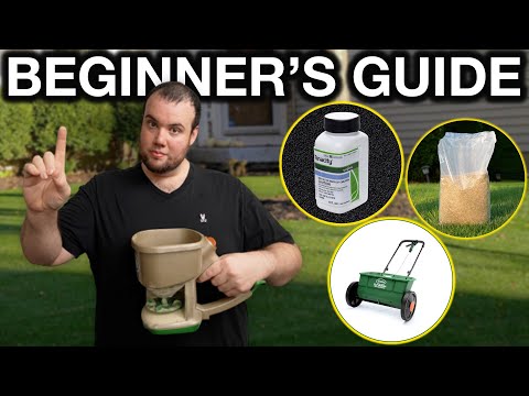 Beginner’s Guide to Overseeding | DO’s and DONT’s