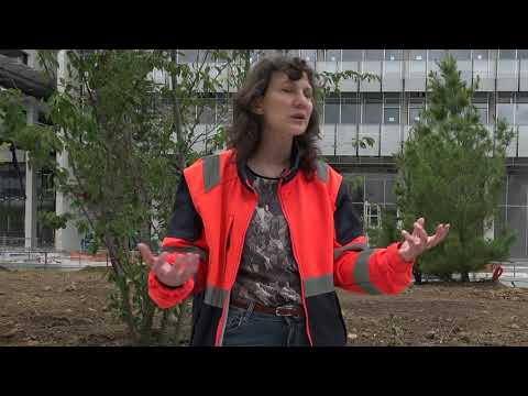 download lagu mp3 mp4 Anne Sophie Ens, download mp3 Anne Sophie Ens free download, download mp3 Anne Sophie Ens