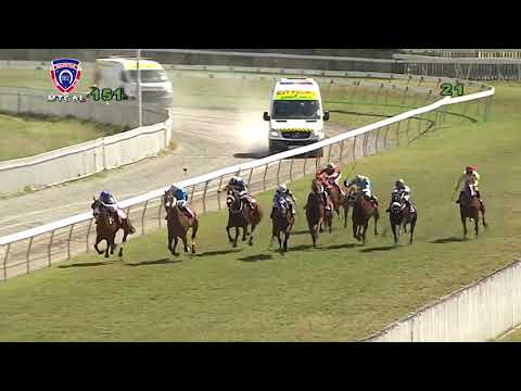 The Aficionado Plate | Greatfiveeight | A.Sonaram