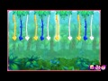 Dora The Explorer Dora And The Lost Valentine Dora Games Kids