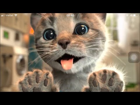 Play Fun Costume Dress-up Party & Pet Care Kids - Game Kitten Adventures