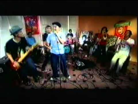 Anjing Kintamani - Shaggydog
