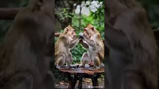 Download lagu GARA-GARA SEBOTOL MINUMAN mp3