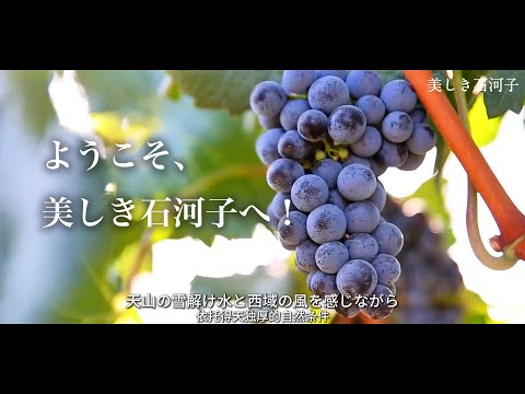 中国語学科 【中国新疆観光】「ようこそ、美しき石河子へ！」石河子市ダイジェストPR動画映像