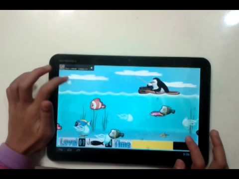 Penguin Fishing Video